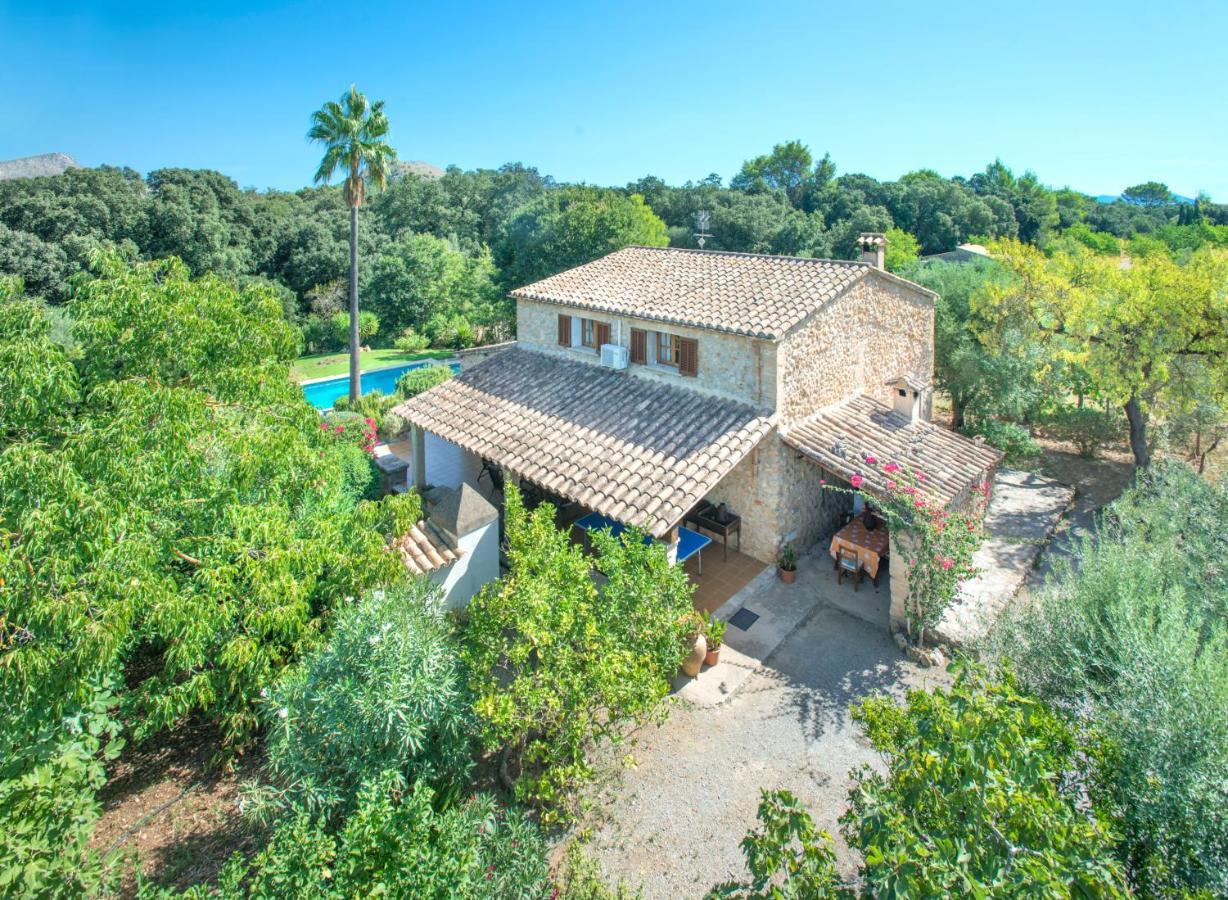 Owl Xino - 10 Min Walk To The Old Town Pollensa