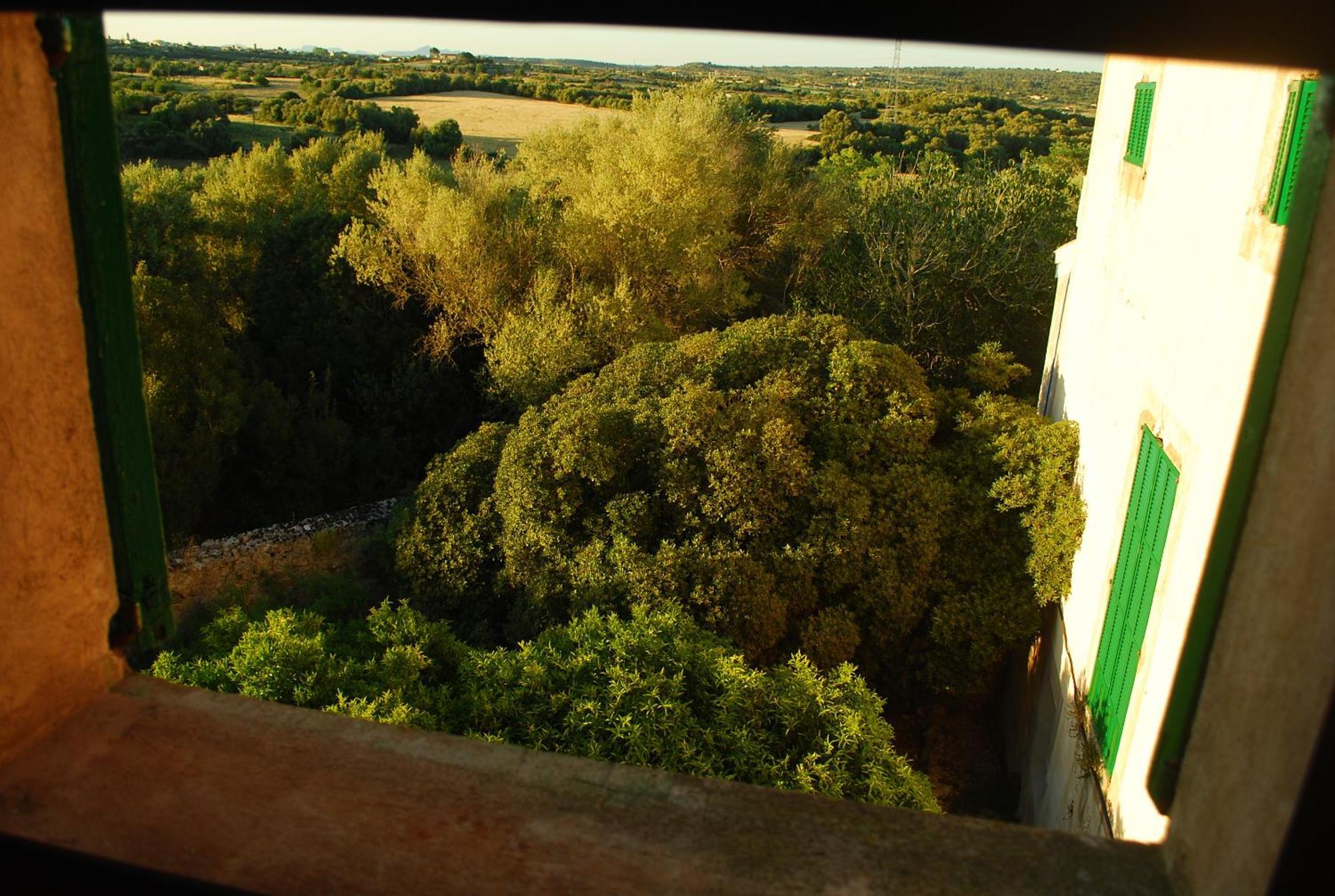 Agroturismo Son Sant Andreu Farm stay