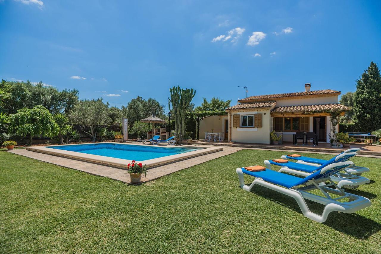 Corretja Pollensa