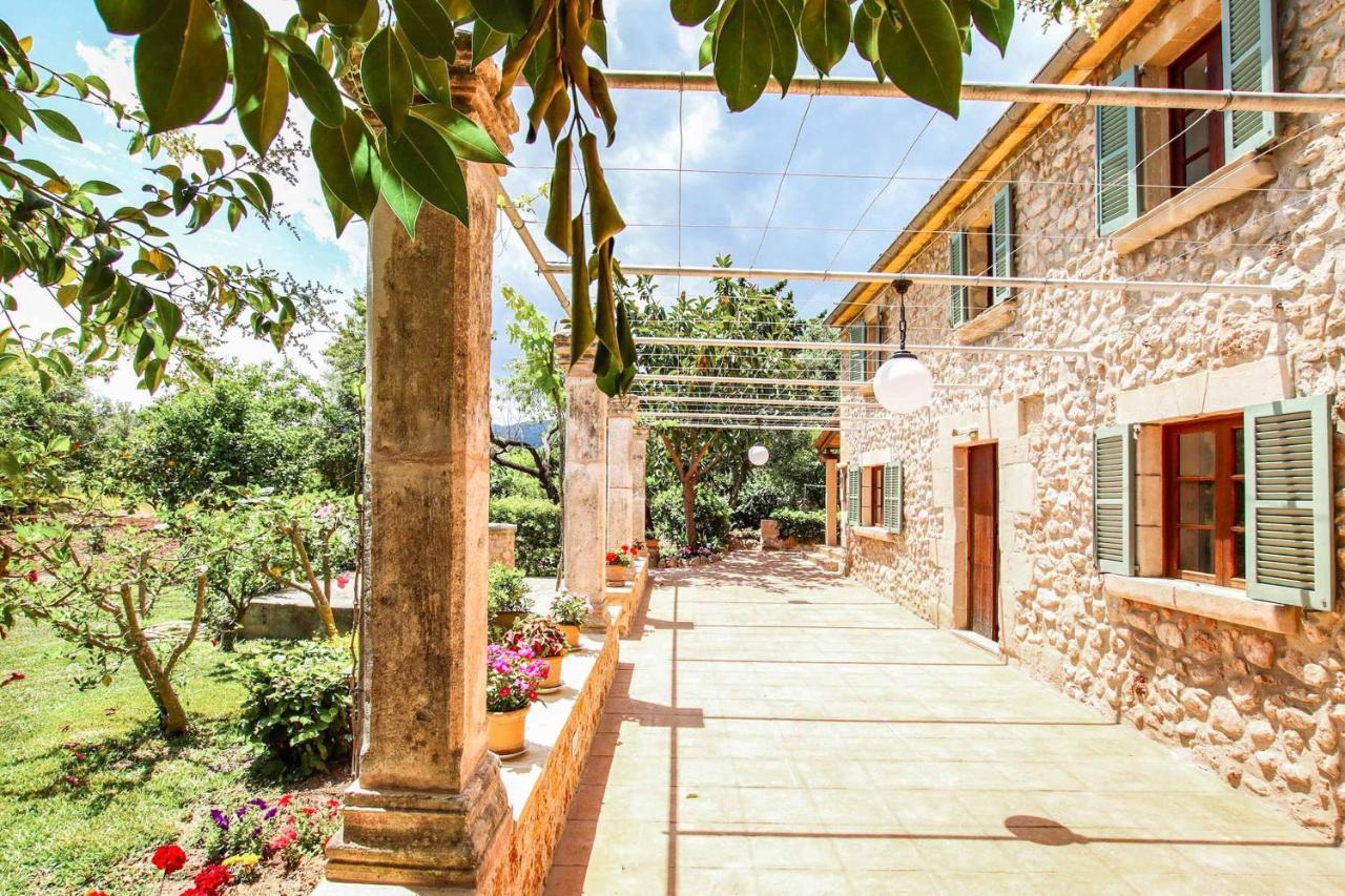 Punxa Pollensa