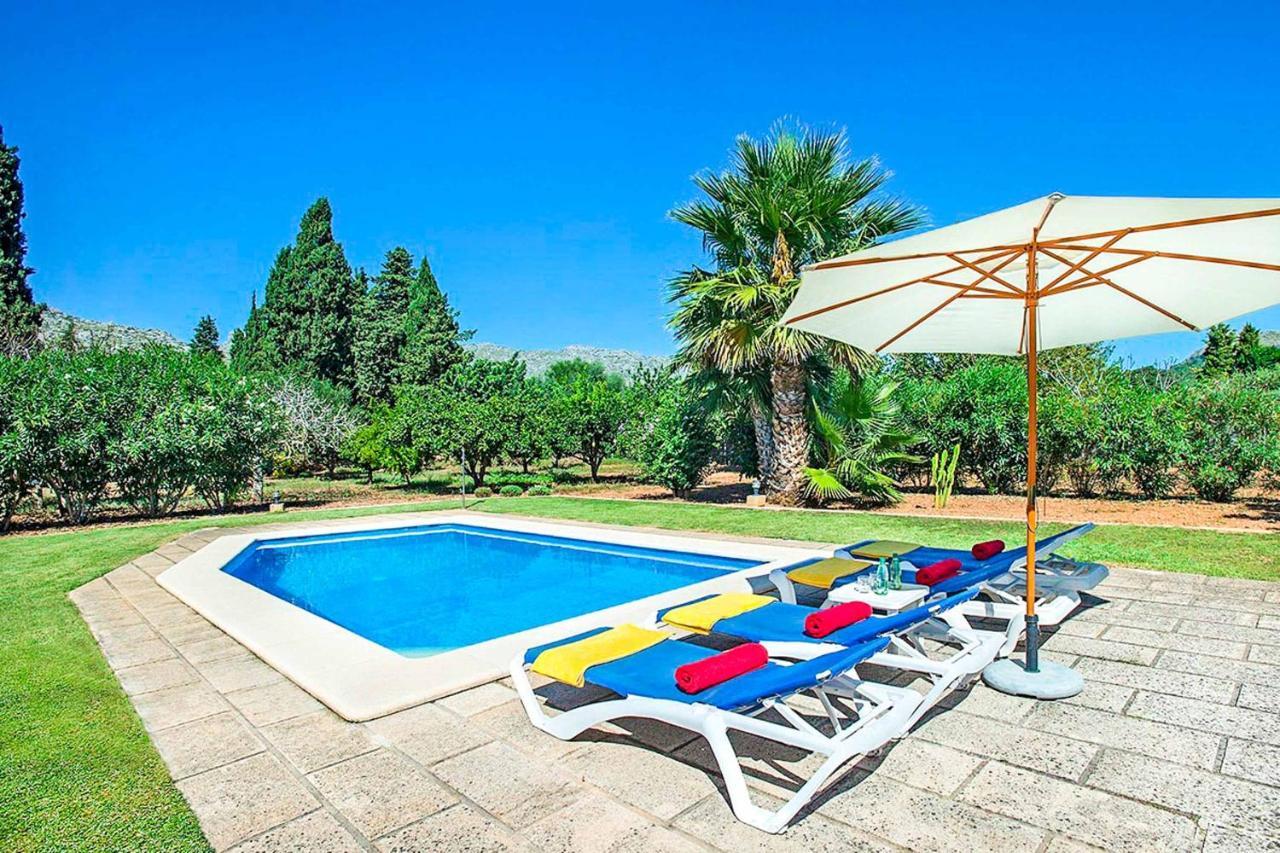 Boi Villa Pollensa
