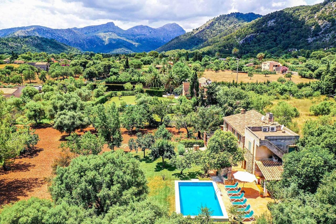 Punxa Pollensa