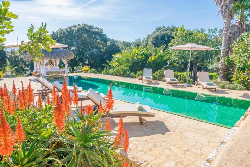 Villa Son Punta Fenalitx (Fenalich)