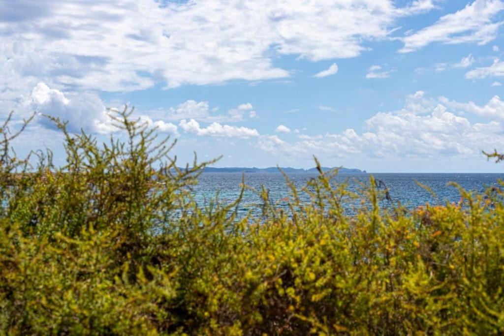 M0 Practico Y Sencillo A 100 M De Mejores Playas De Mallorca Apartment