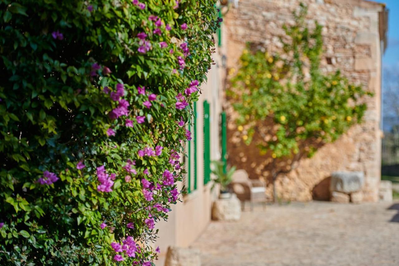 Holiday home Son Oliver By Mallorca House Rent Felanitx