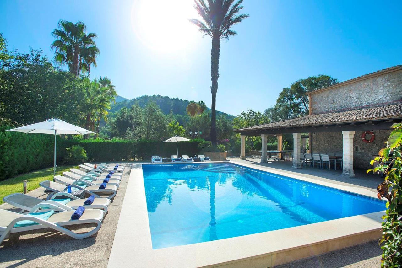 Papa Cala San Vicente Mallorca Pollensa