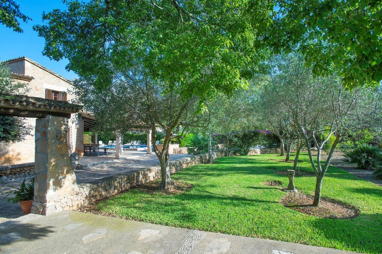 Papa Cala San Vicente Mallorca Villa Pollensa