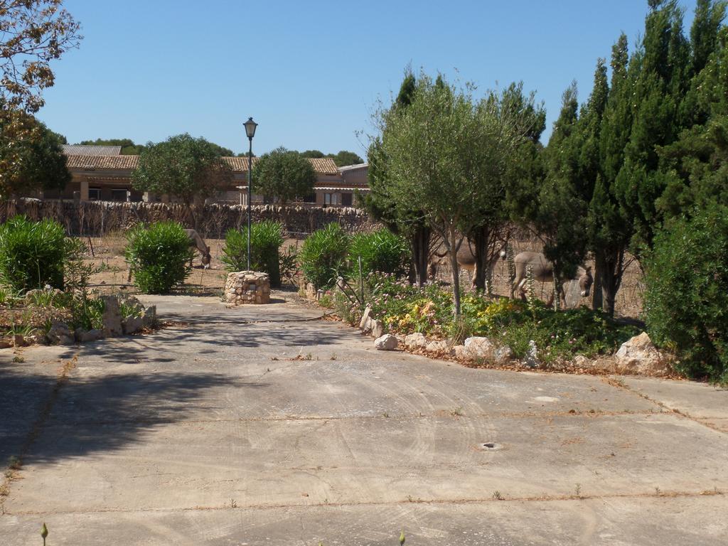 Agroturismo Sa Bassa Crua *