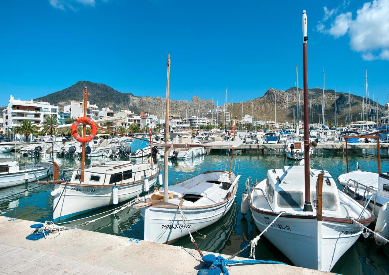 Owl Magdalena - 5 Min Walk To The * Cala San Vicente (Mallorca)