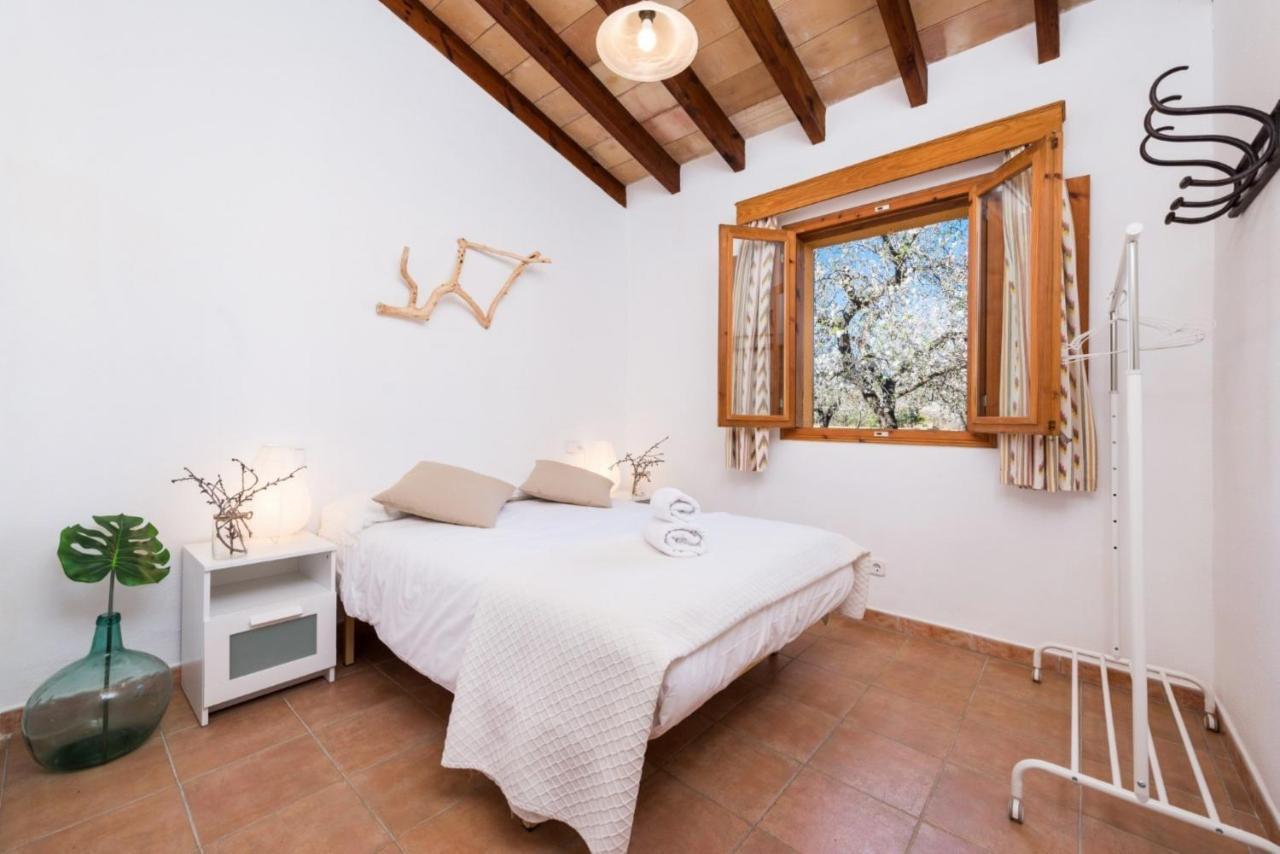 Yourhouse Lemontree - Antic *
