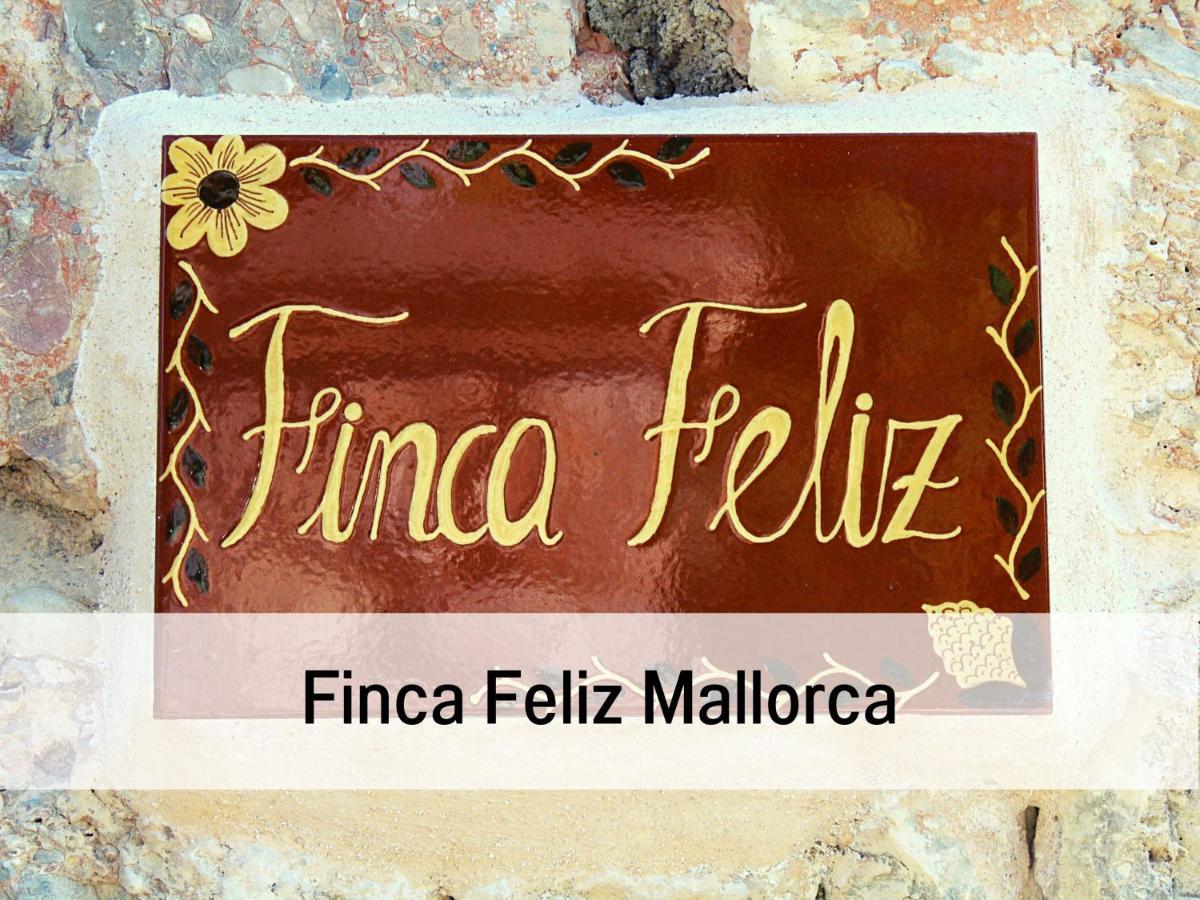 Feliz Mit Meerblick, Pool, W-lan & Parkplatz Villa Bunyola (Buñola)