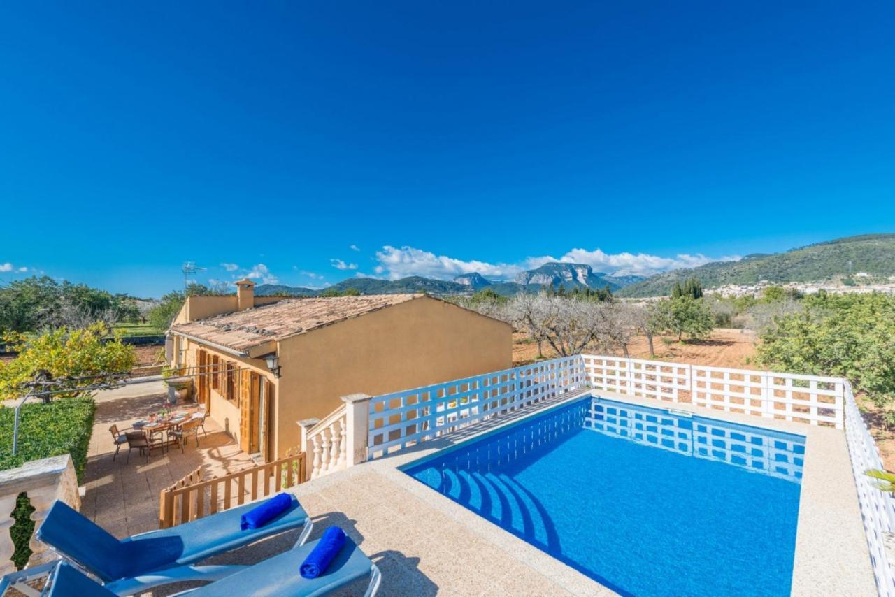 Yourhouse Lemontree - Antic