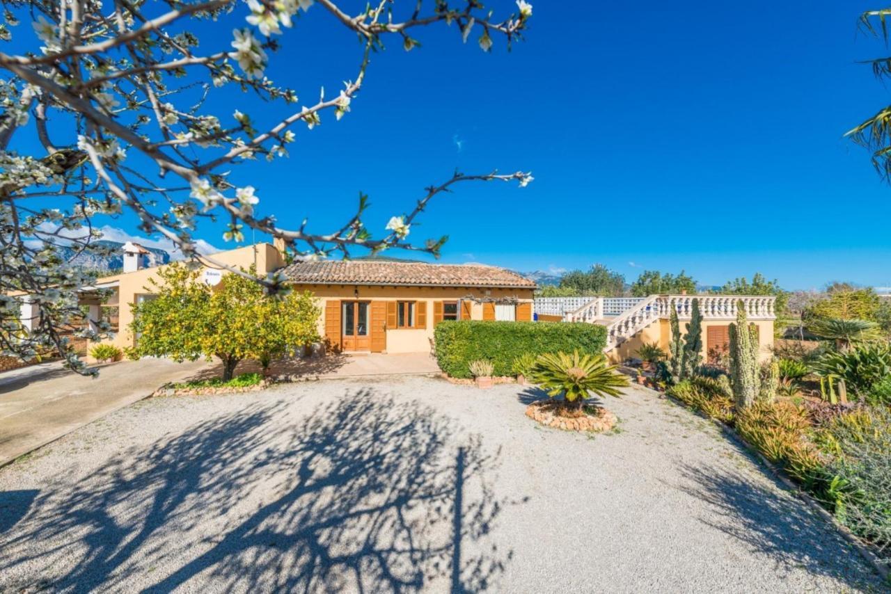 Yourhouse Lemontree - Antic Lloseta