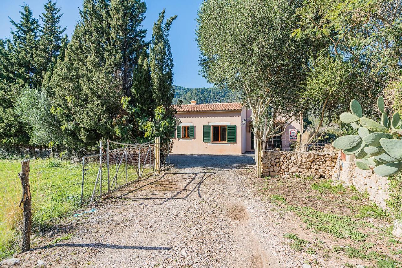 L'hort De Llobera *