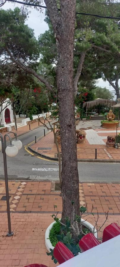 Casa Fernando Tarrago Apartment Cala d'Or (Mallorca)