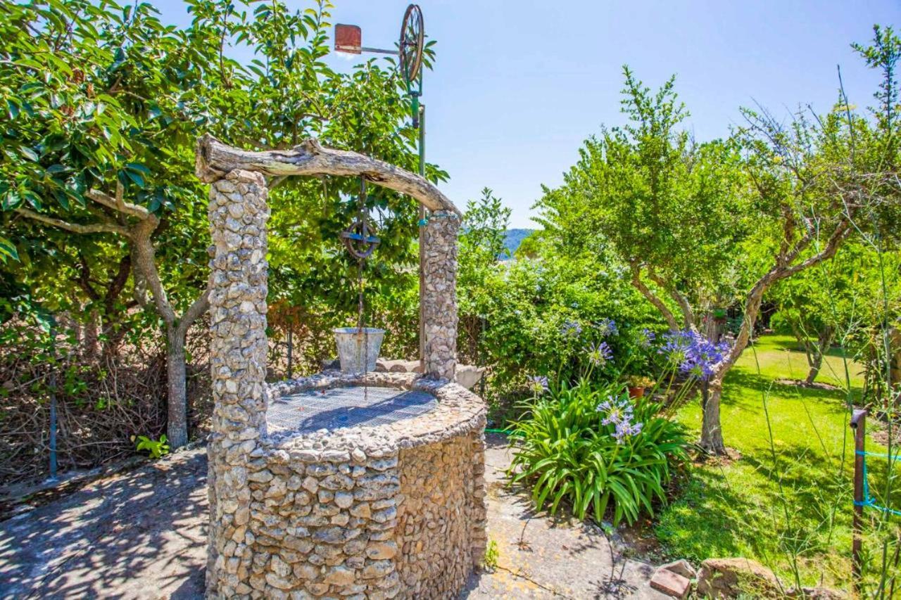 Llarg Pollensa