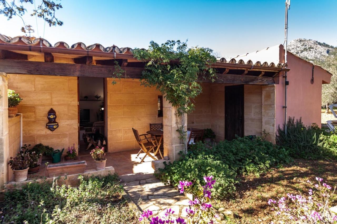 Apartamento Hall Of The Mountain