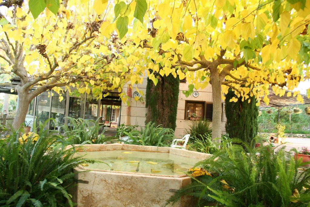 Finca Es Talaiot *
