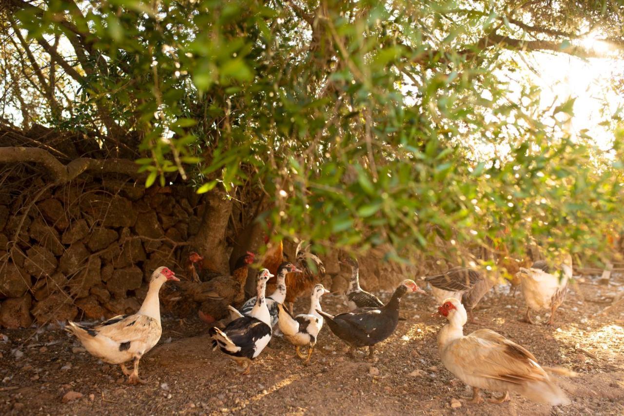 Finca Son Yador, Wifi, Piscina, Barbacoa, Aire Acondicionado, Aparcamiento, Cerca Des Trenc Сasa de vacaciones
