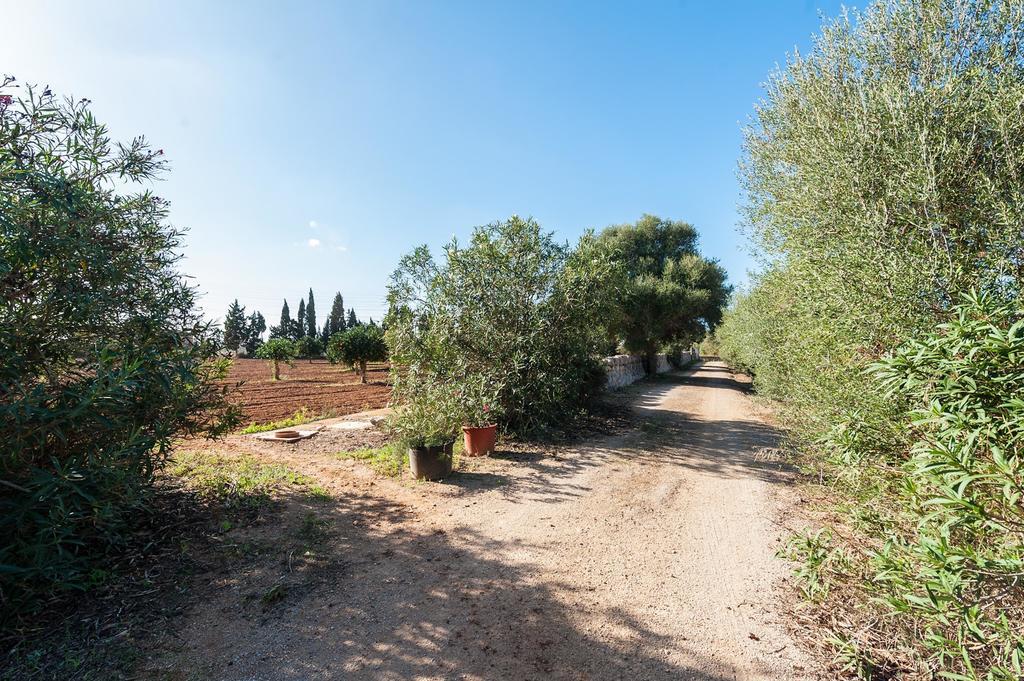 Son Xorc Villa