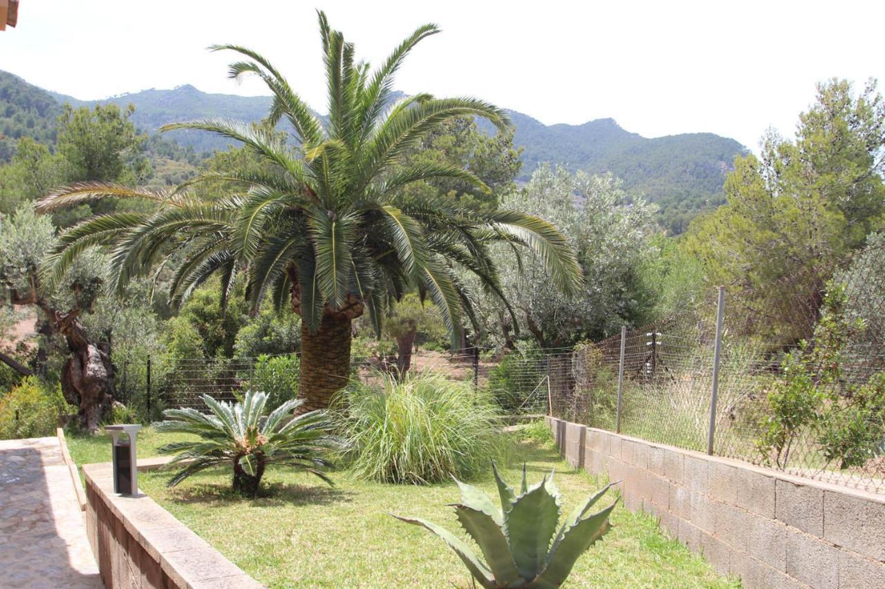 Capllonch * Bañalbufar (Banyalbufar)