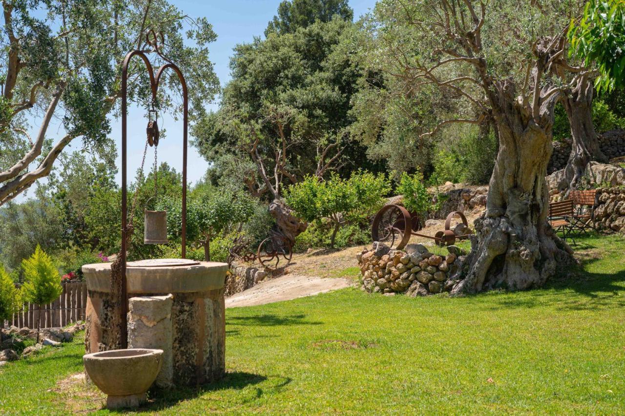 Rural S'olivaret & Hotel Alaro