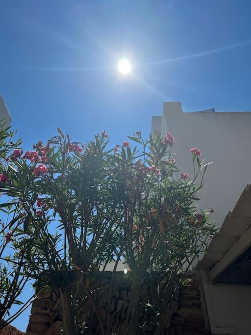 Apartamento Great Penthouse With Pool And Private Roof Terrace Santanyí