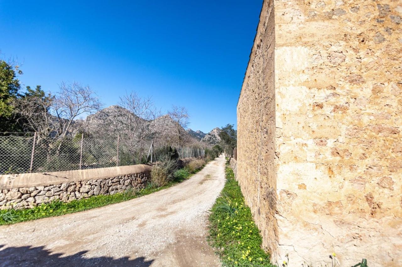 Hall Of The Mountain * Bunyola (Buñola)
