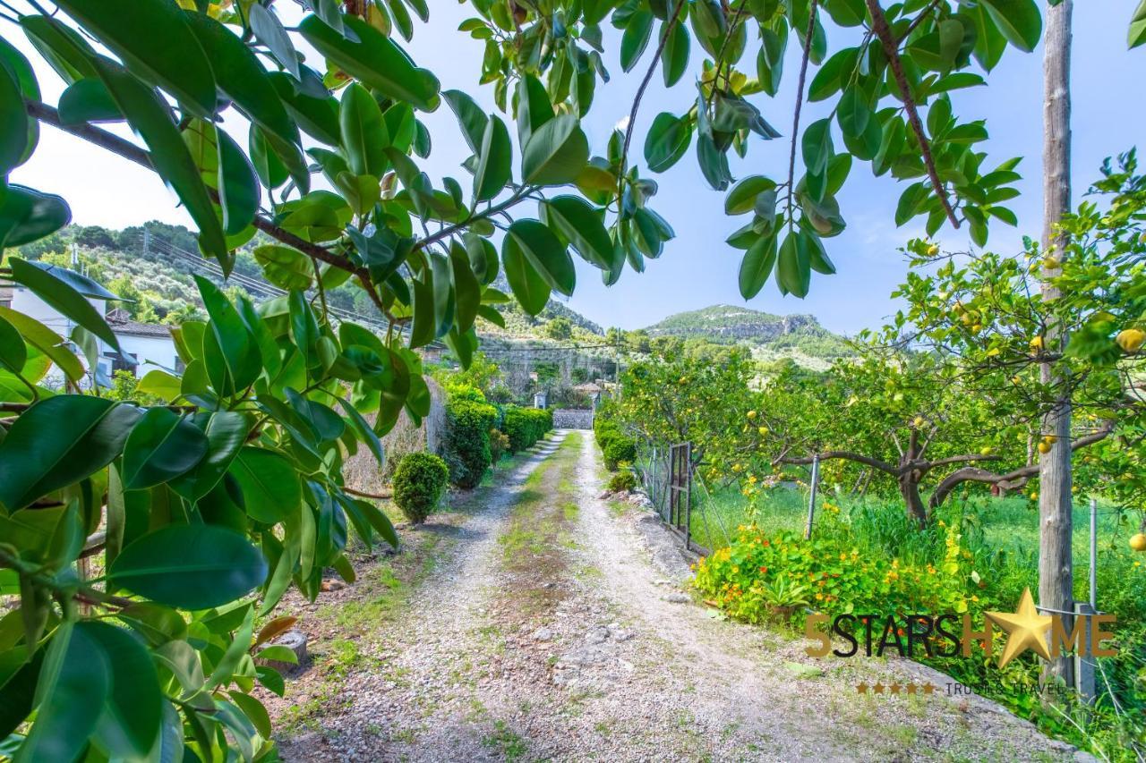 Holiday home Sa Frontera - 23471 Mallorca
