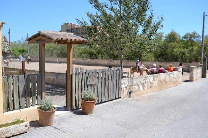 50m From The With A Gym, Son Serra De Marina, Mallorca *