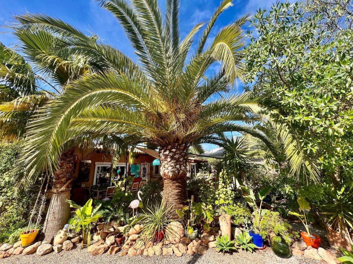 Villa Finca Son Aduar