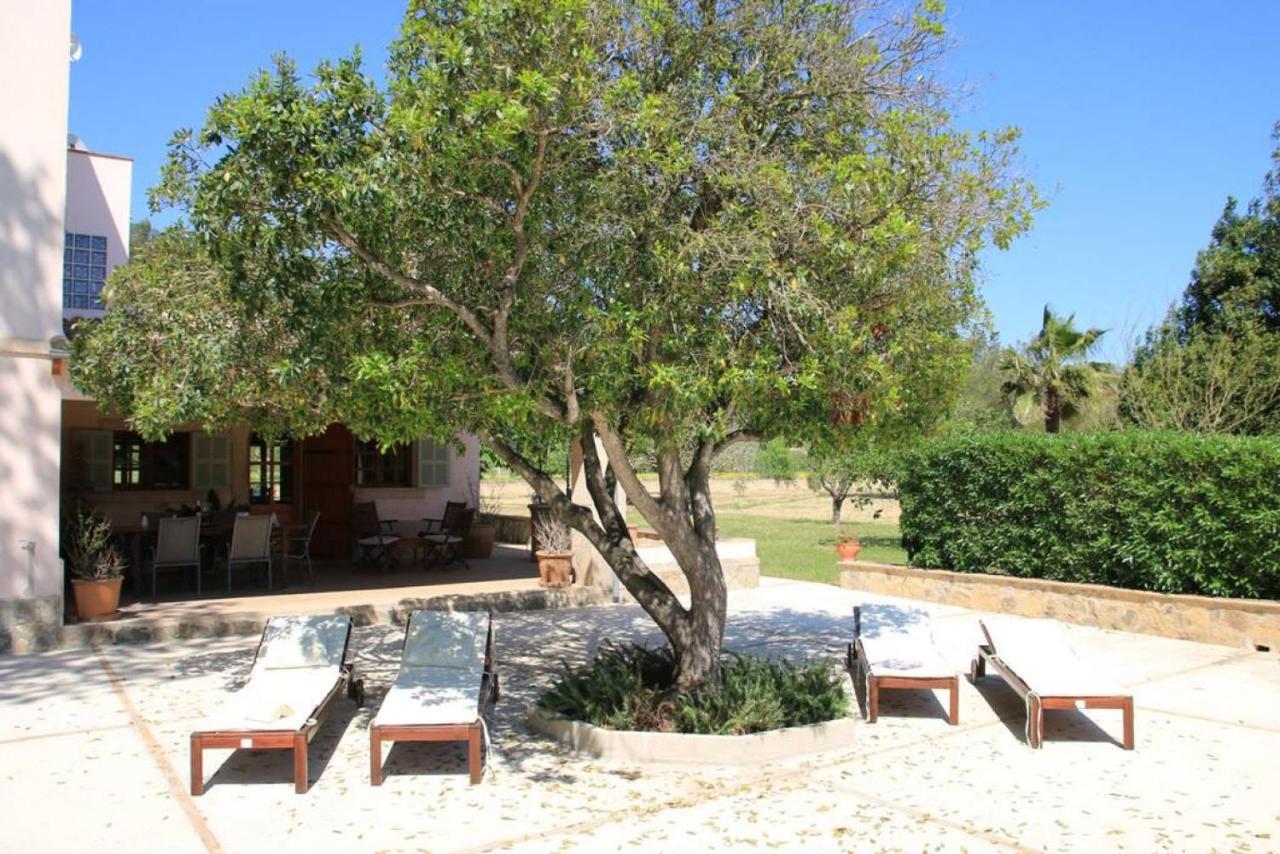 Holiday home Sa Canova Petra (Mallorca)