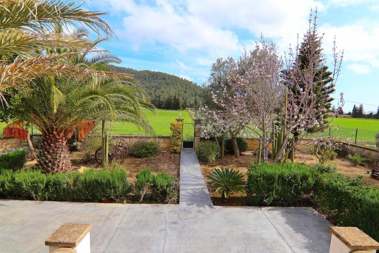 Holiday home 040 Mussol Etv1463 By Mallorca Charme Sa Pobla