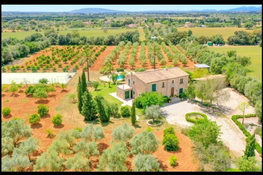 Villa Ecovilla Jeaninne By Villasmediterranean Inca (Mallorca)