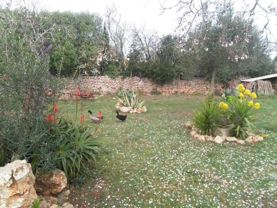 Sa Rota Holiday home Santa Margarita (Mallorca)