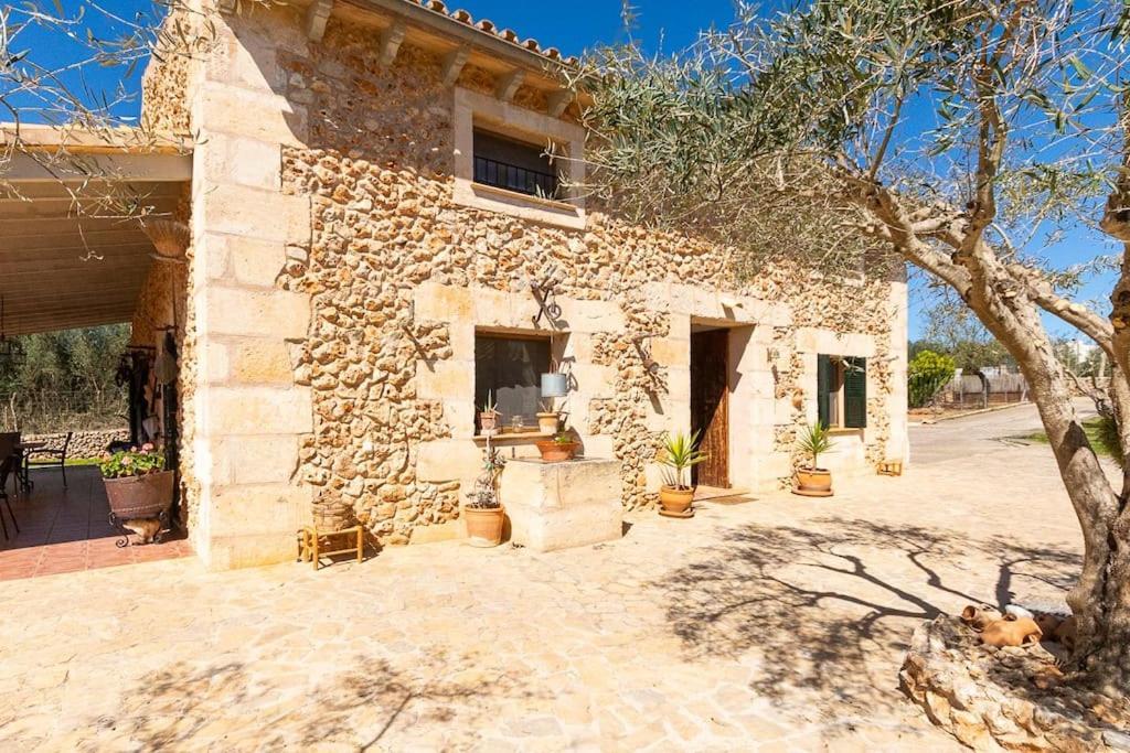 Sa Rota * Santa Margarita (Mallorca)