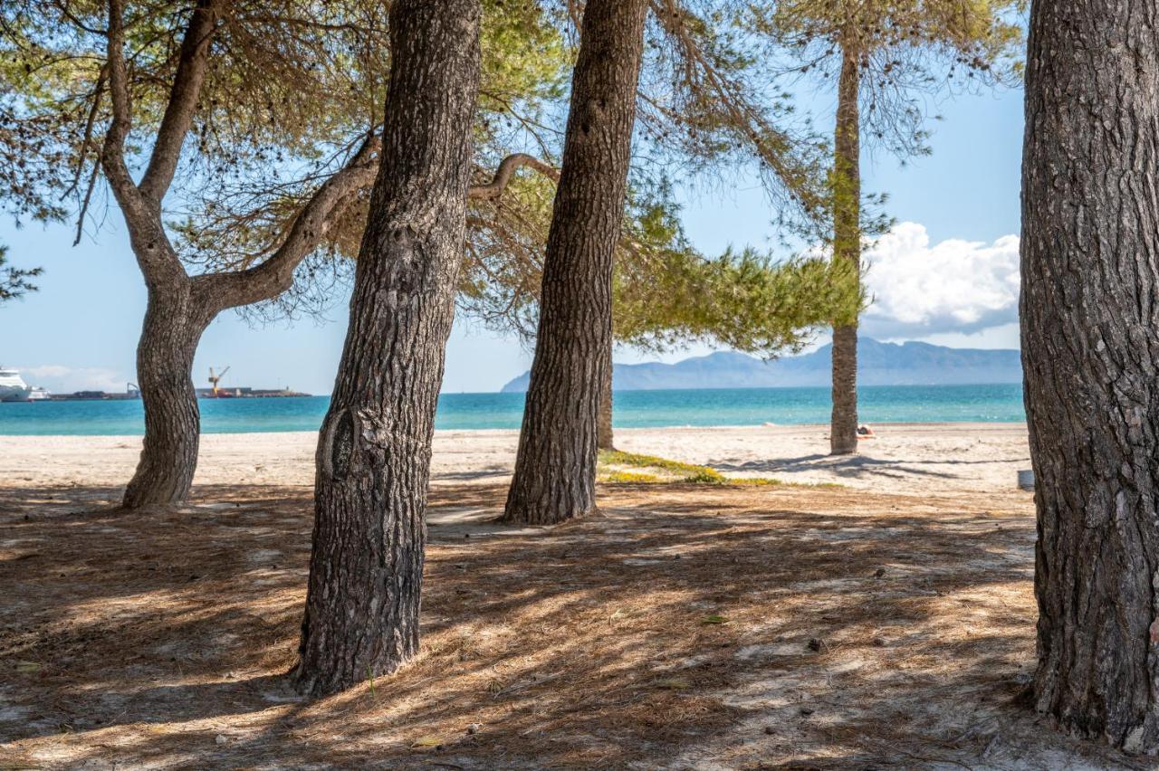 Mercuri Alcúdia