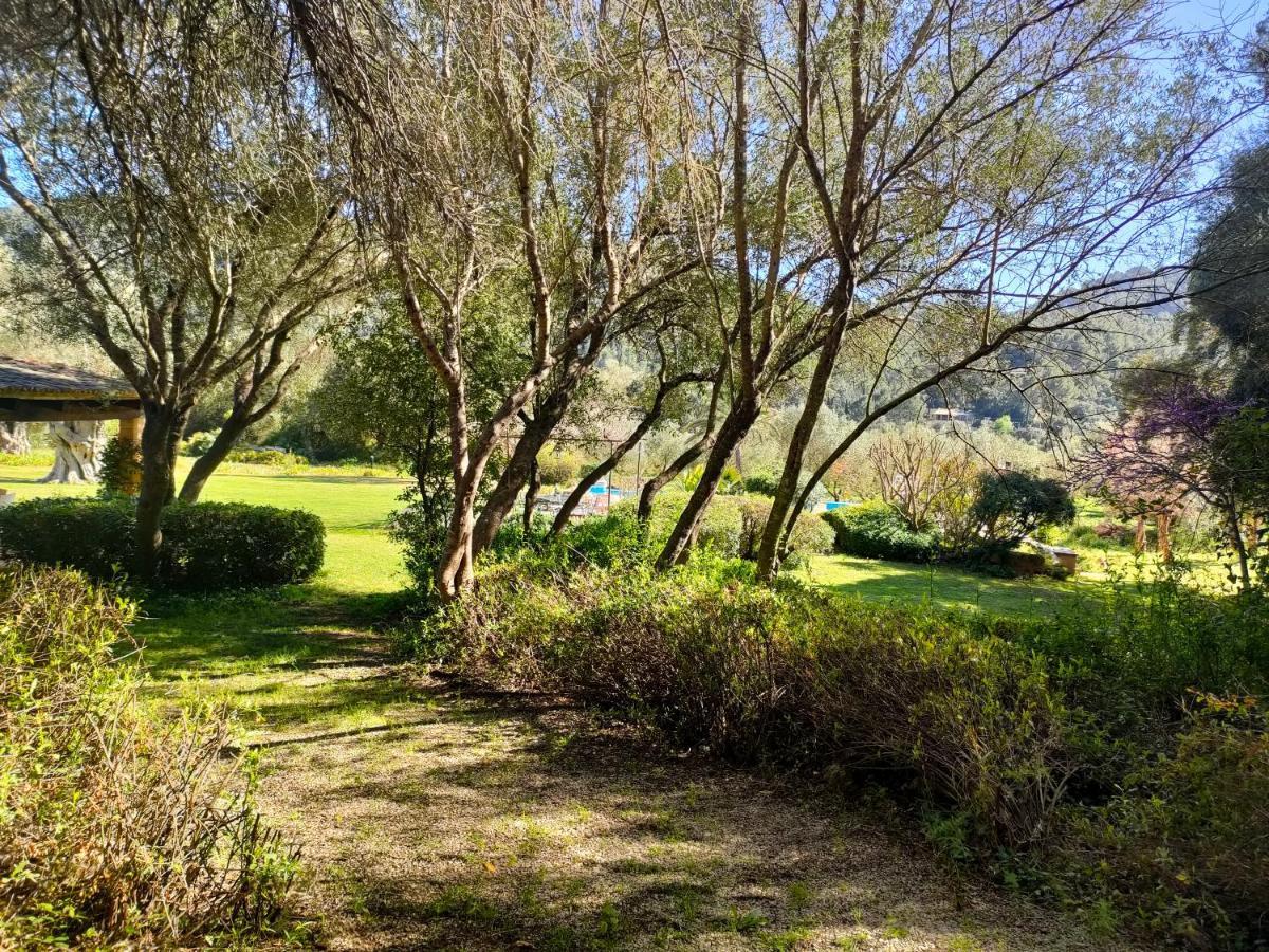 Villa Sa Tafona 