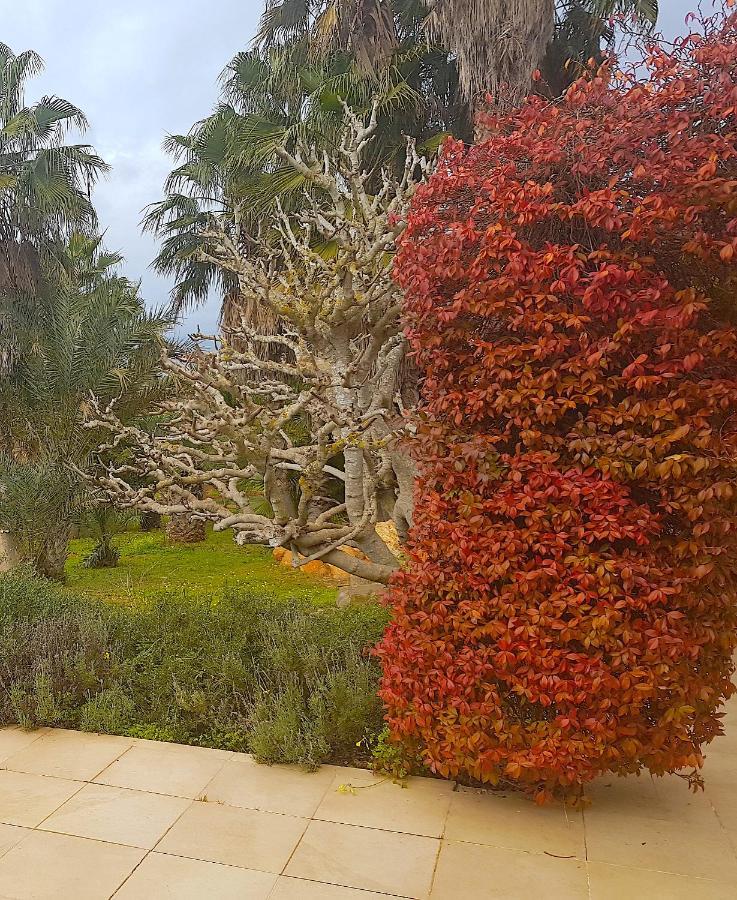Country house Agroturismo Saigo *