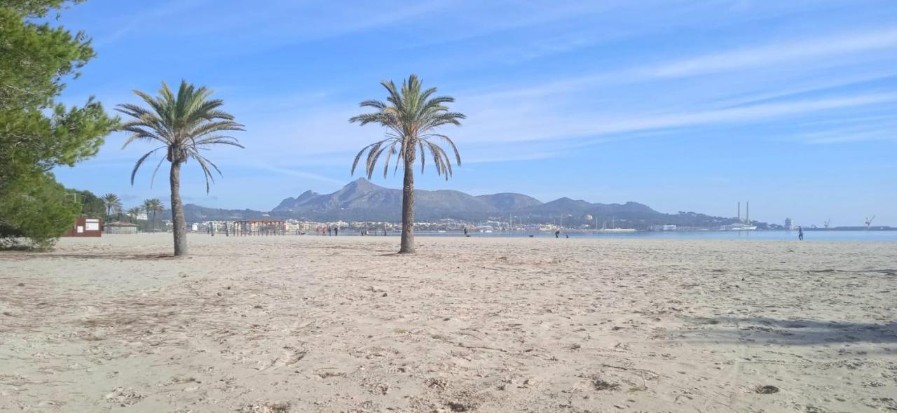 Casa Del Artista-can Roca Alcúdia