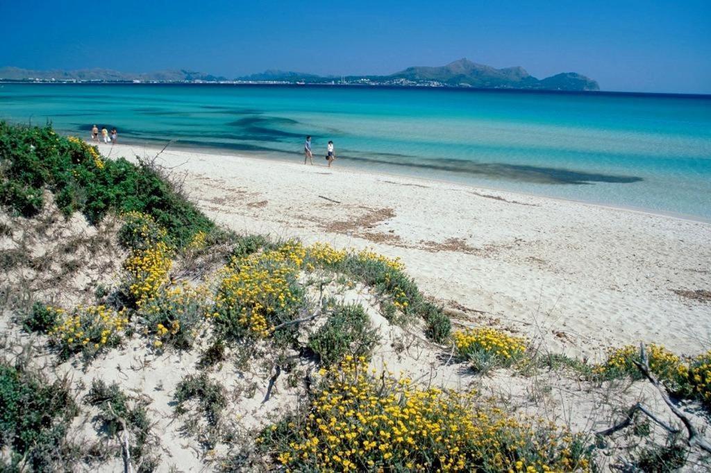 Apartamento Al Pujol Alcúdia