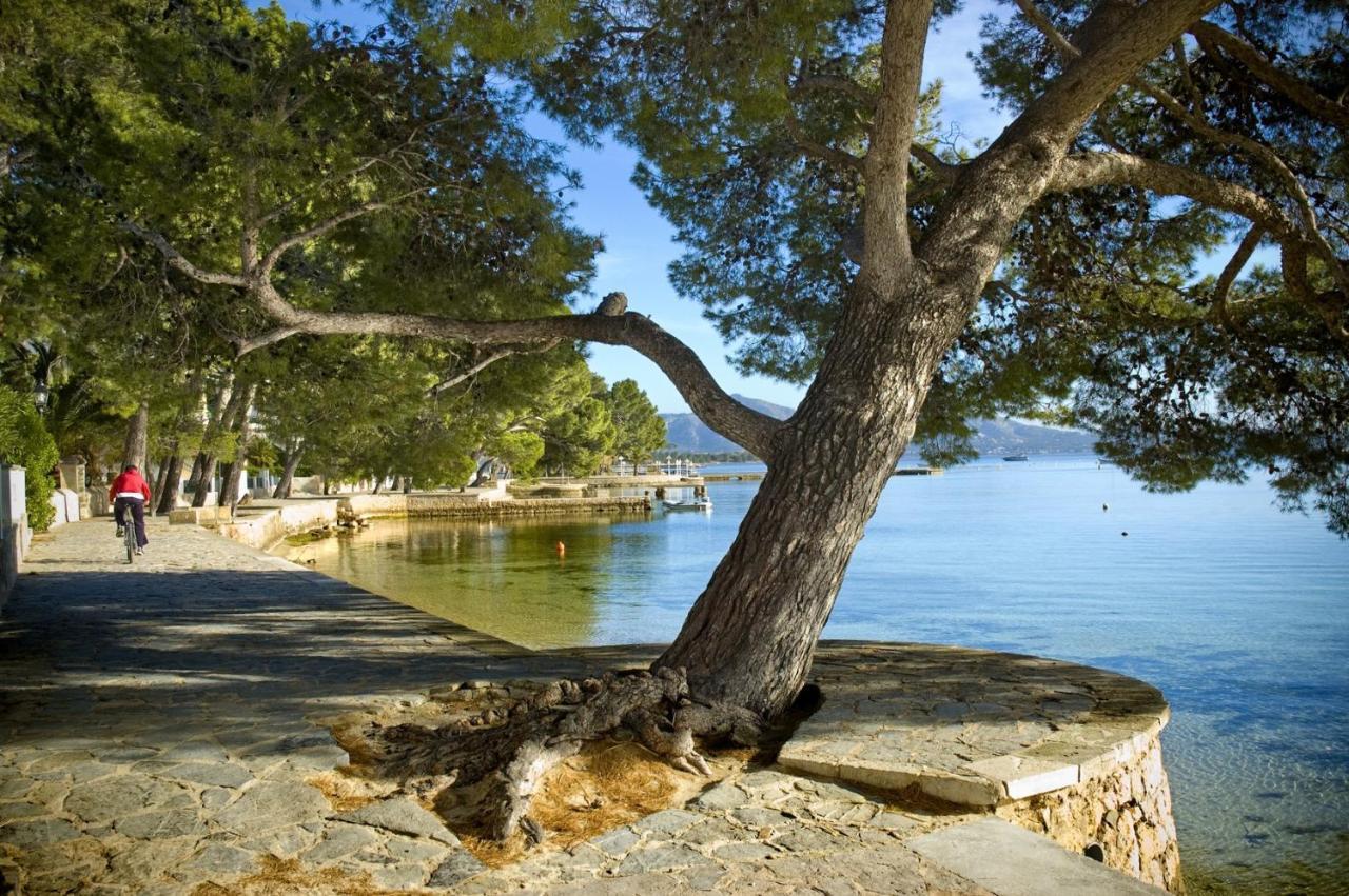 Apartamento Oratge 1 Puerto Pollensa
