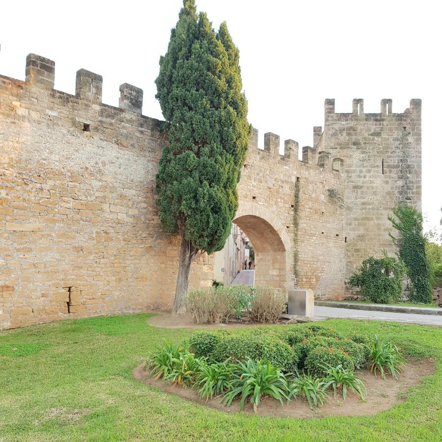 Casa Del Artista-can Roca
