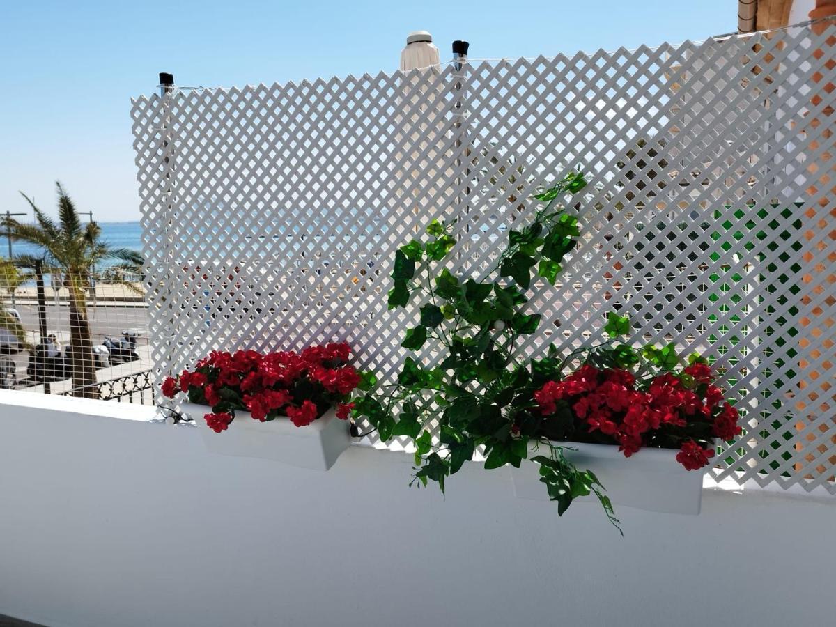 Veronica-puerto Pollensa Apartamento