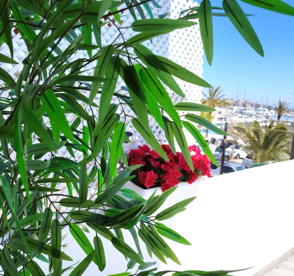 Veronica-puerto Pollensa Apartamento *