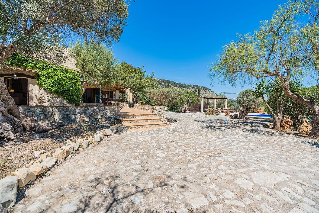 Noguera -pollensa * Pollensa