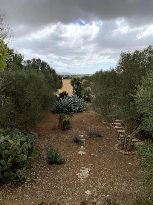 Holiday home Casa Farah Ses Salines (Mallorca)
