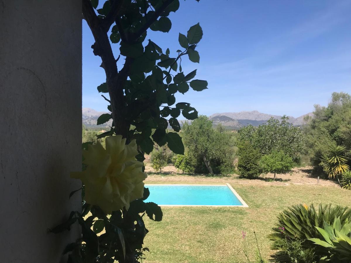 Florida Luxury With Huge Pool Pollensa