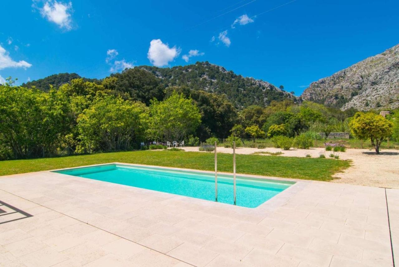 Ternelles * Pollensa