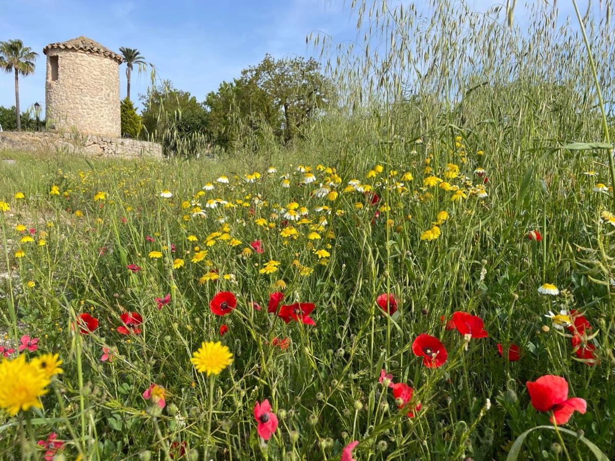 Son Manera 4* Montuiri (Mallorca)